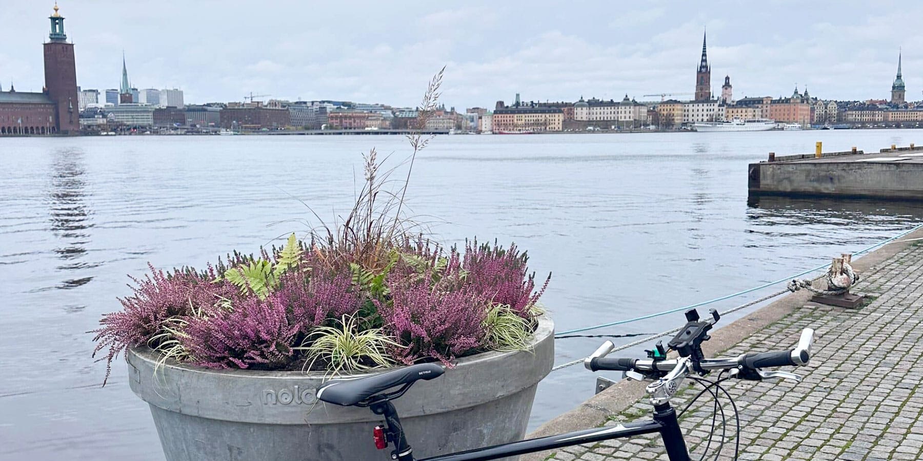 Bike Guide Cees - Bike Tours in Stockholm