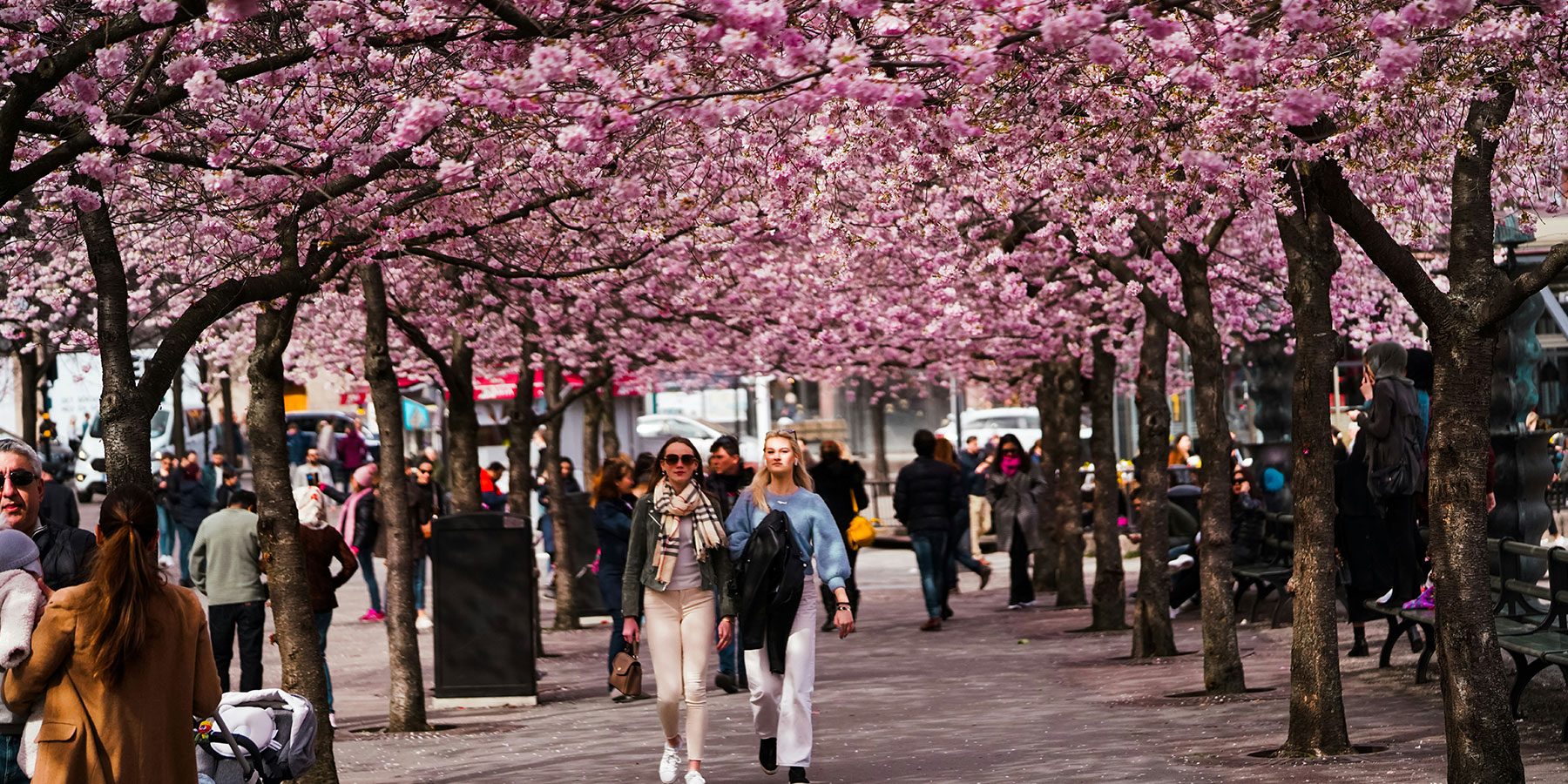 Stockholm by Bike - Good to know