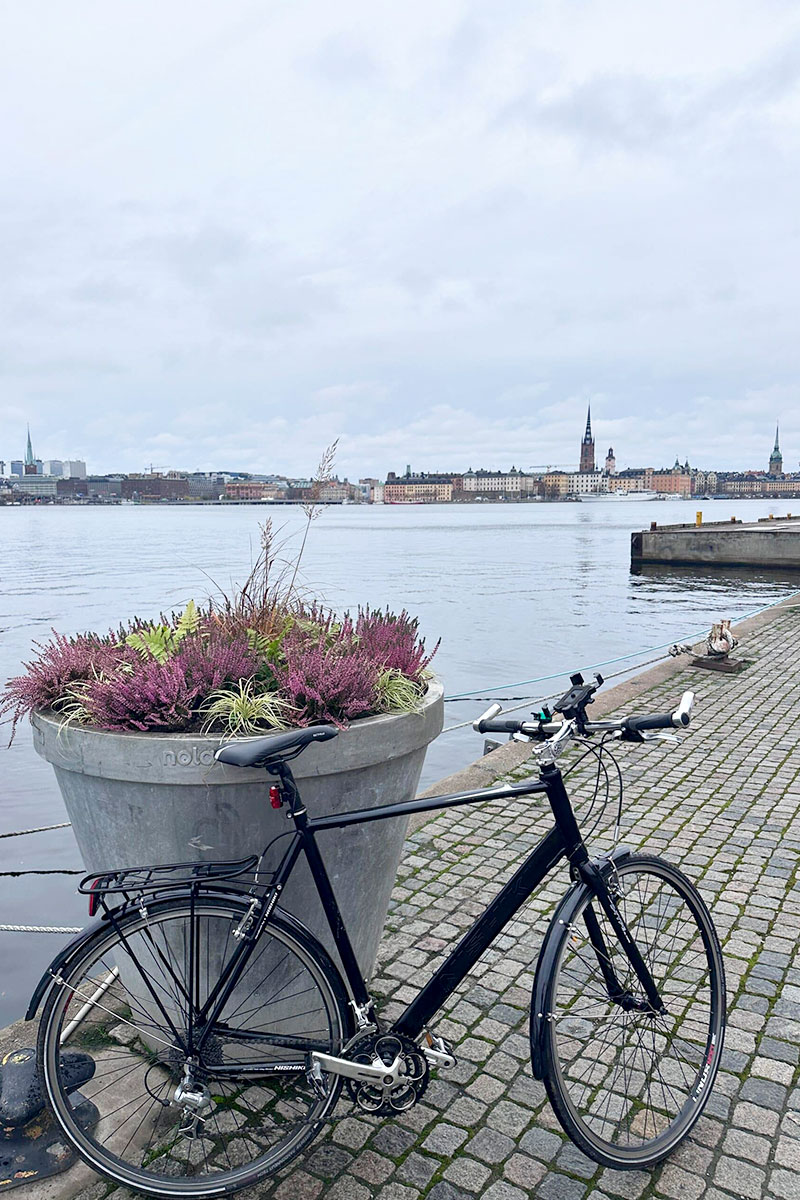 Bike Guide Cees - Bike Tours in Stockholm