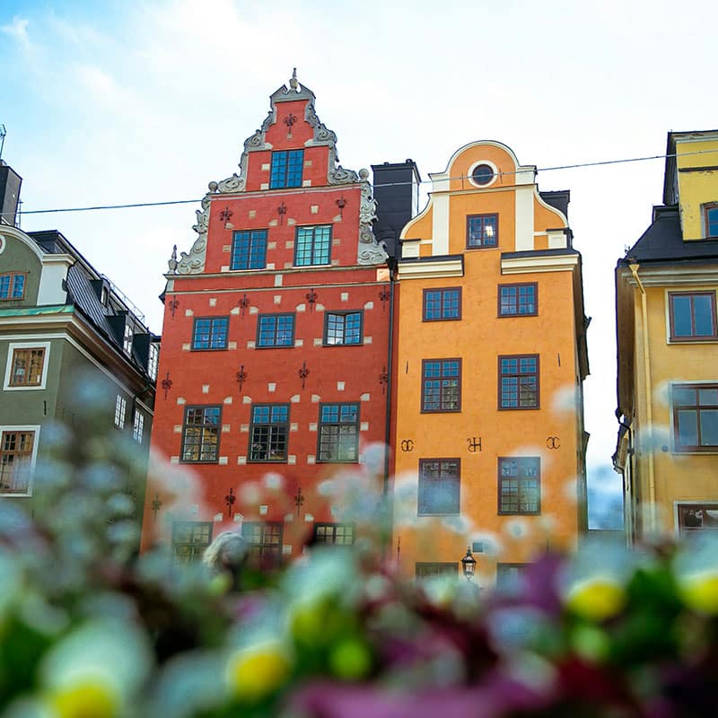 Stockholm guided tour
